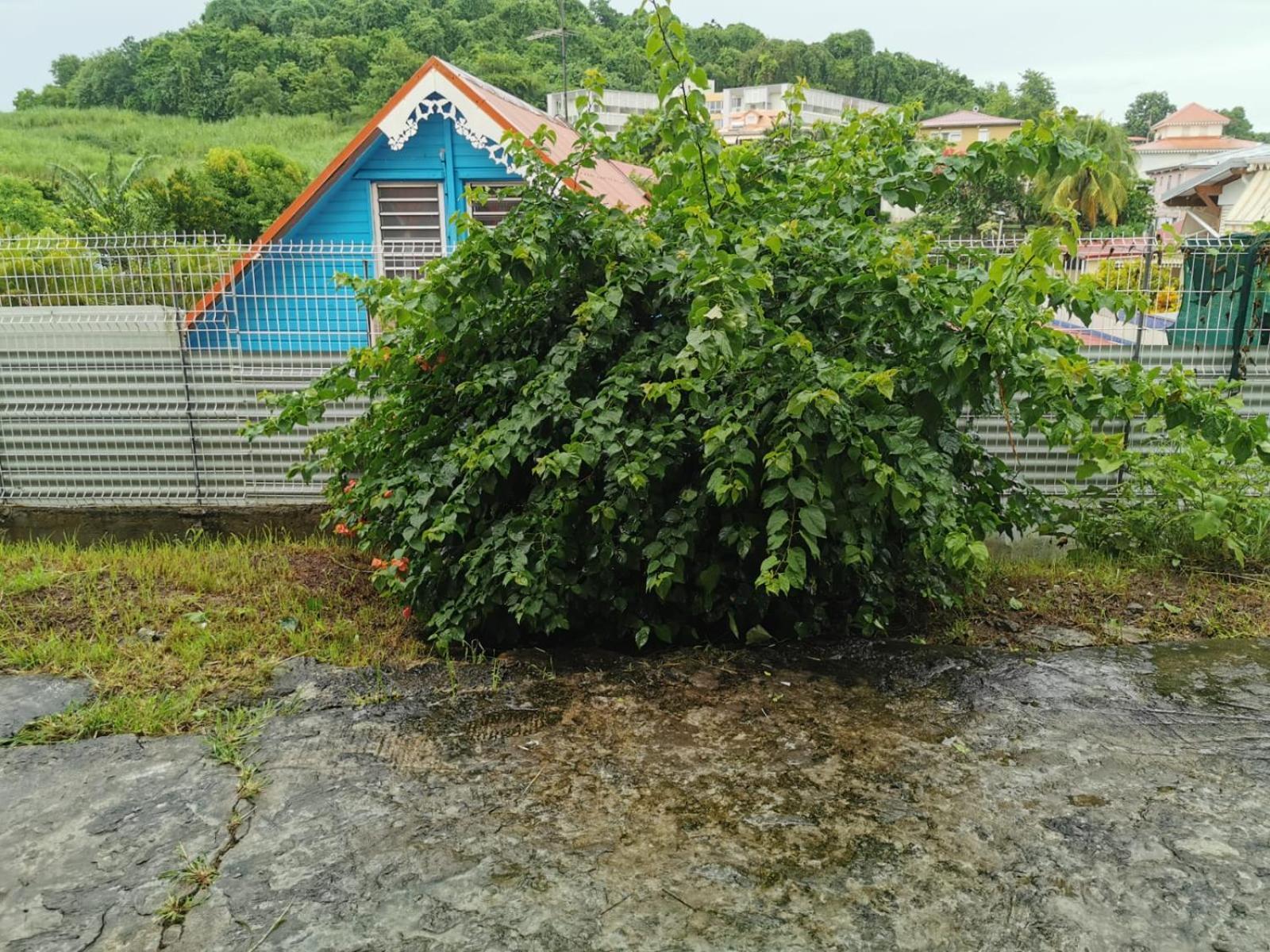 Apartament Anais Loc La Trinité Zewnętrze zdjęcie